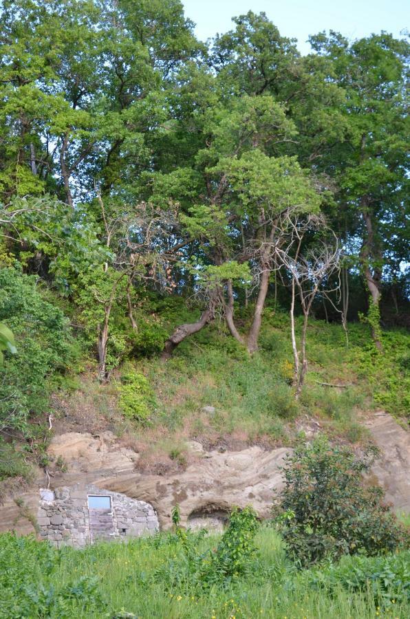 Casa Sorgente Lejlighed Montefiascone Eksteriør billede